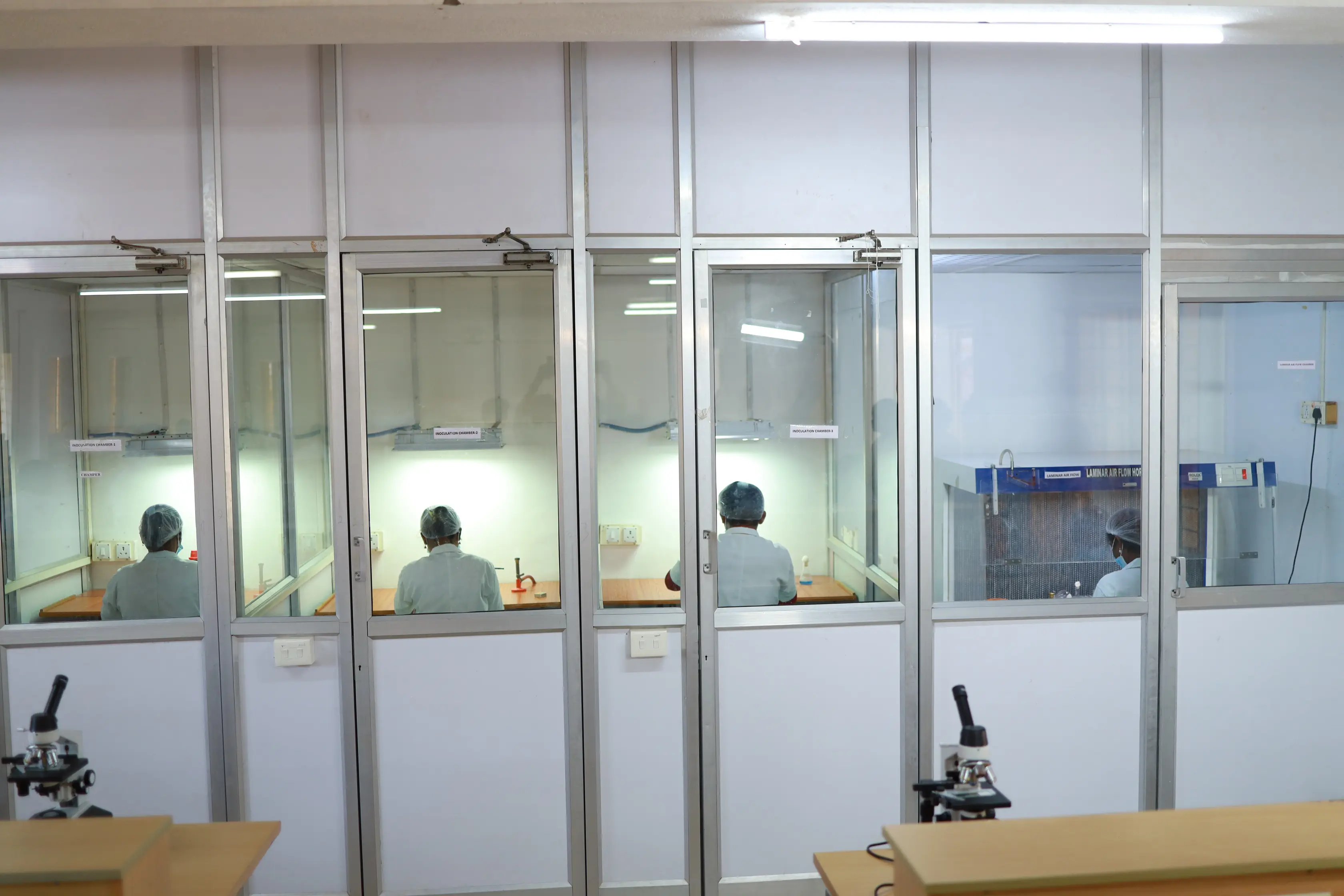 MB Lab 1