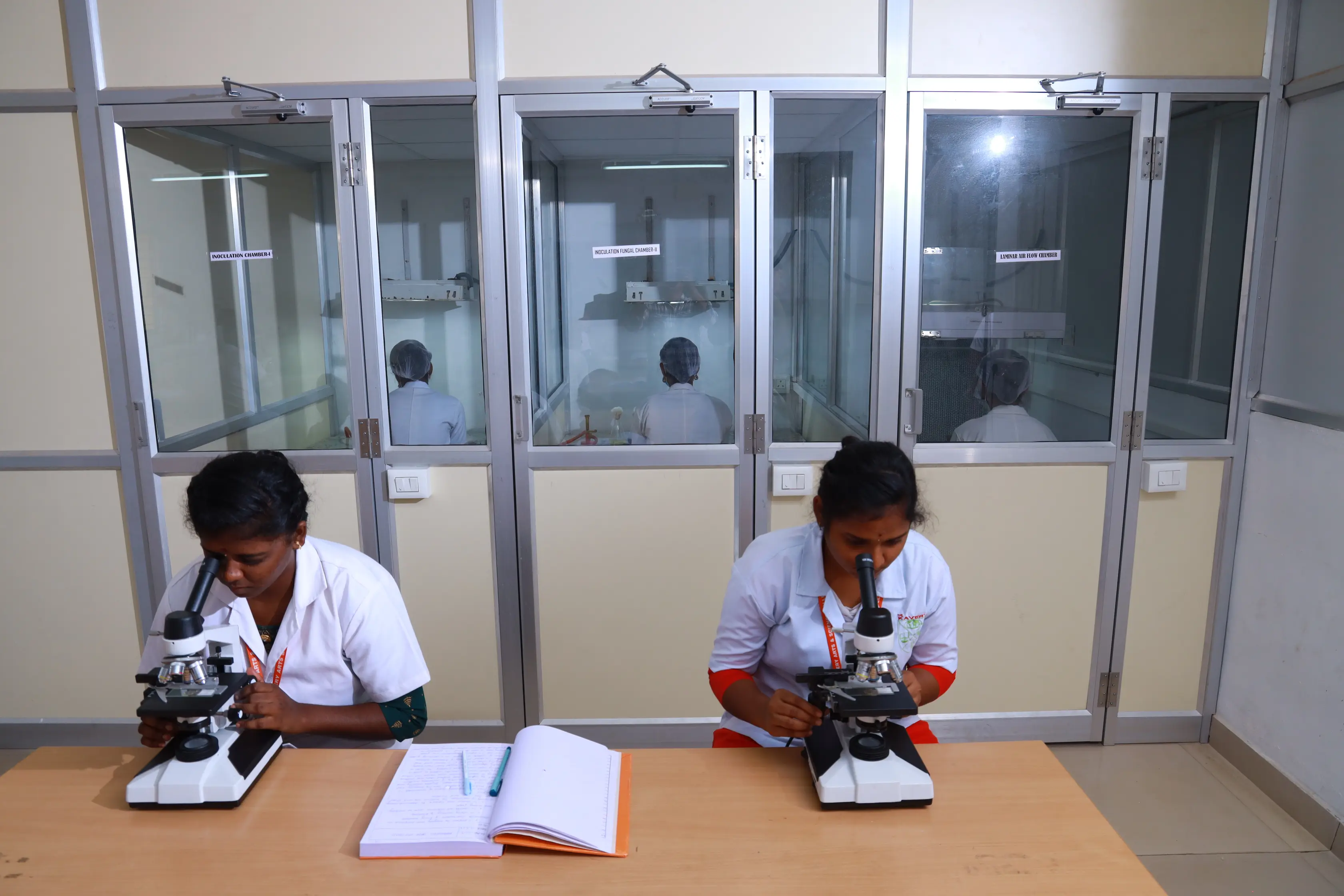 MB Lab 1