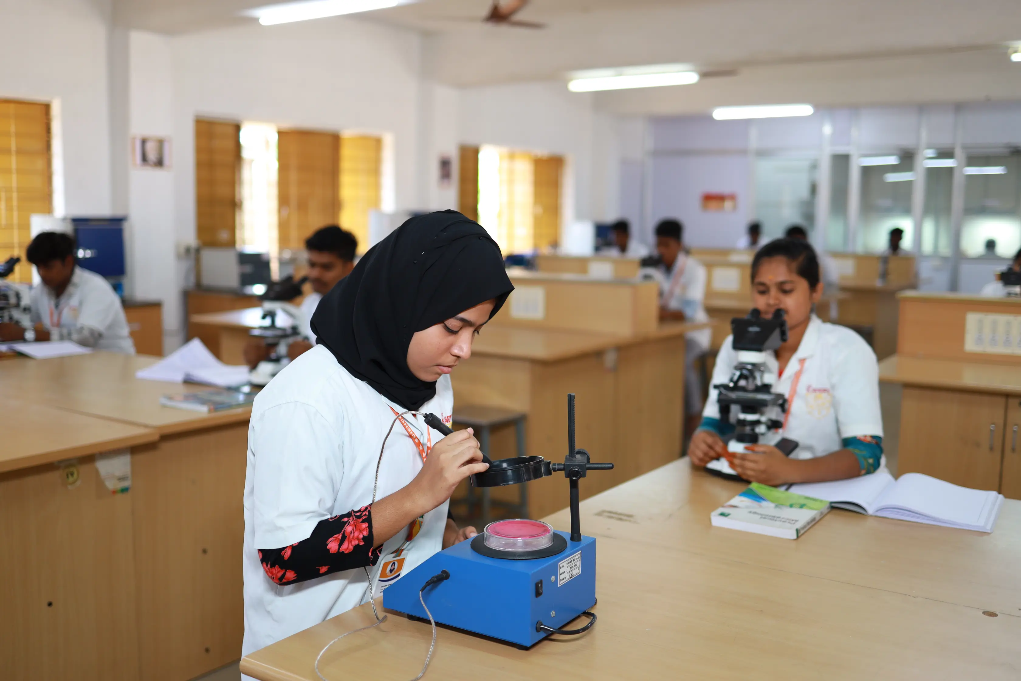 MB Lab 1