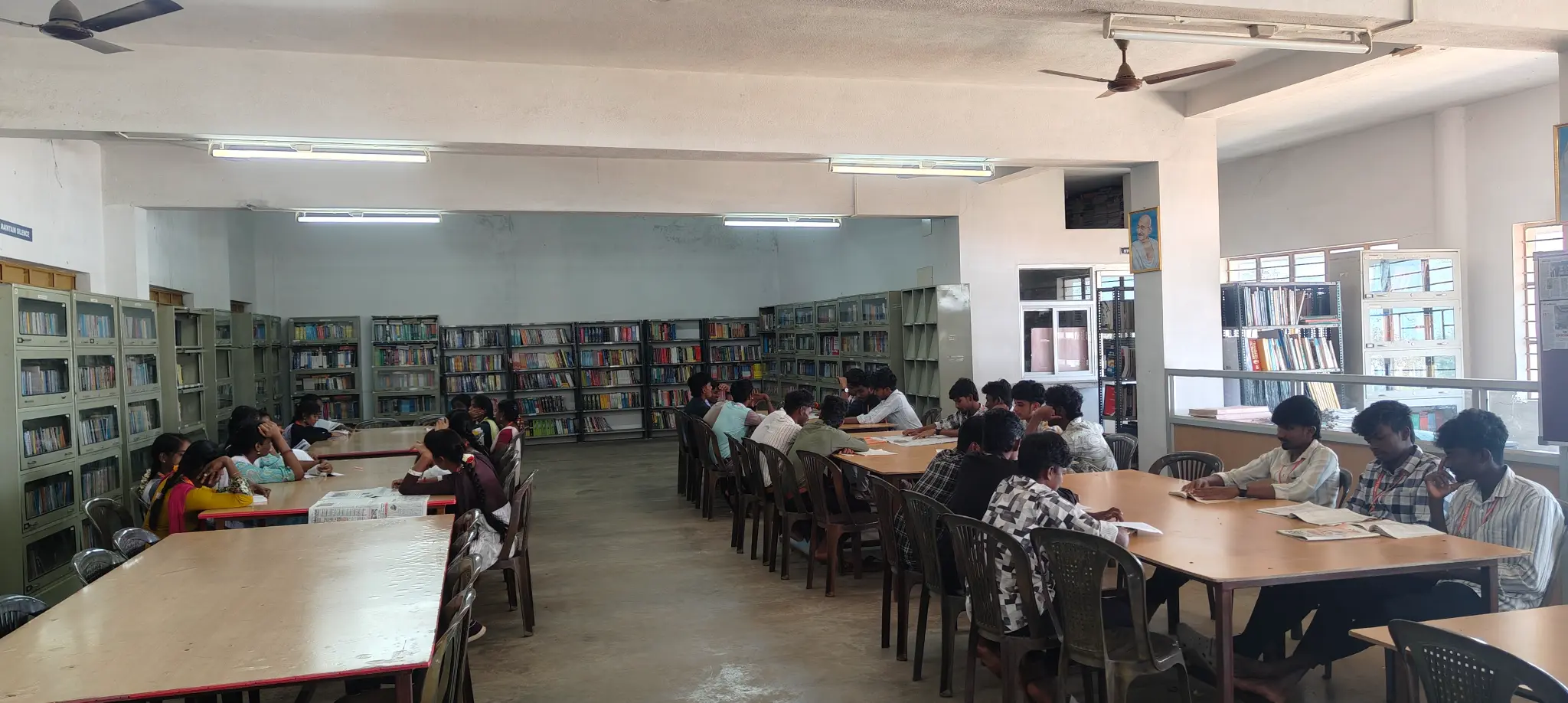 Study Area
